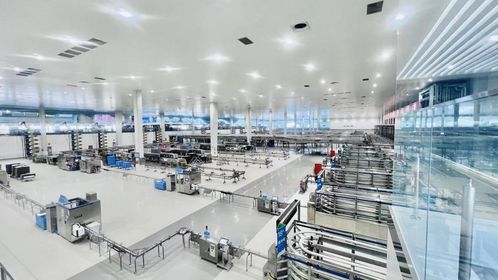 世界奶業大會開幕，伊利以全球協作助推‘世界乳業科技之都’建設